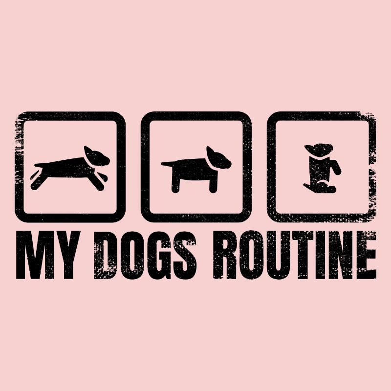 Hunde Routine
