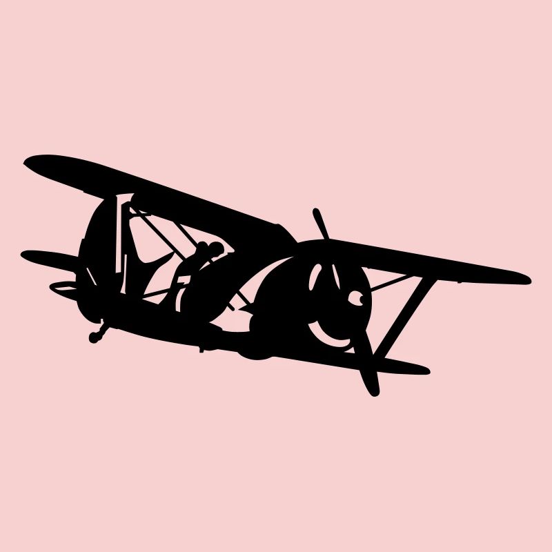 Biplan i-153