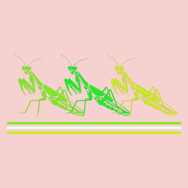 Mantis Gottesanbeter Gottesanbeterin