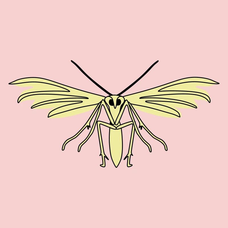 Feather moth