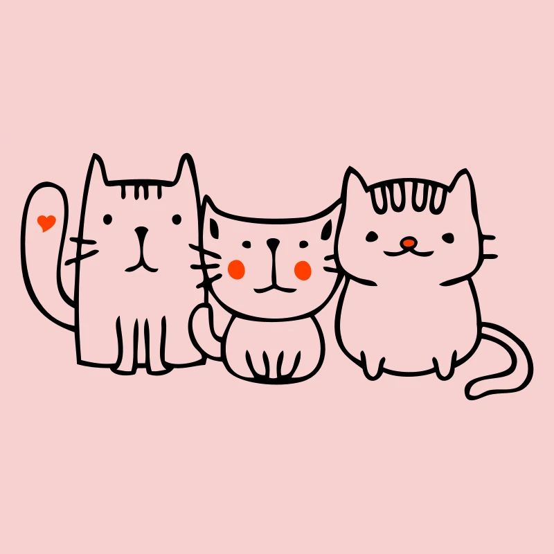 Chats, amis