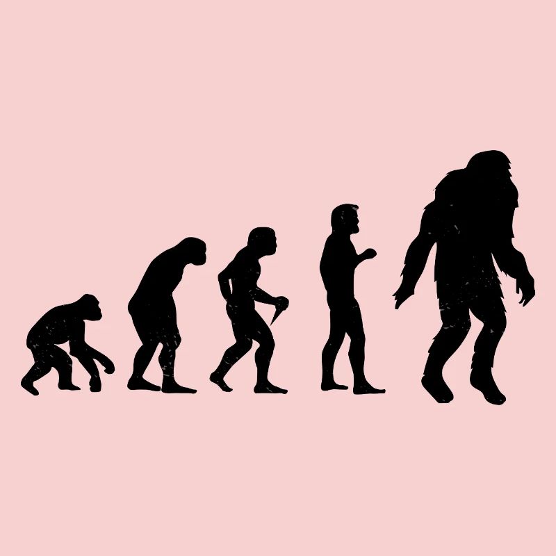 Bigfoot Sasquatch Cache-cache Dictons