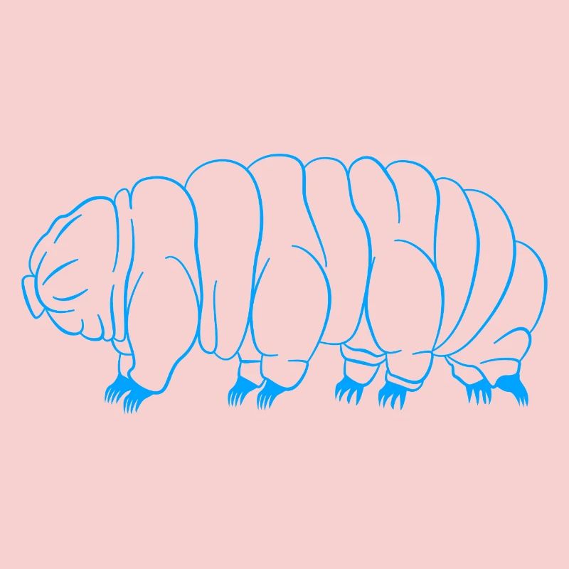 Tardigrade Ours d’eau tardigrade Tardigrade