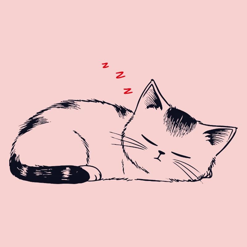 Stuffy sleeping cat