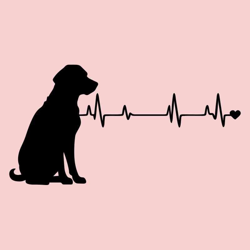 Hund