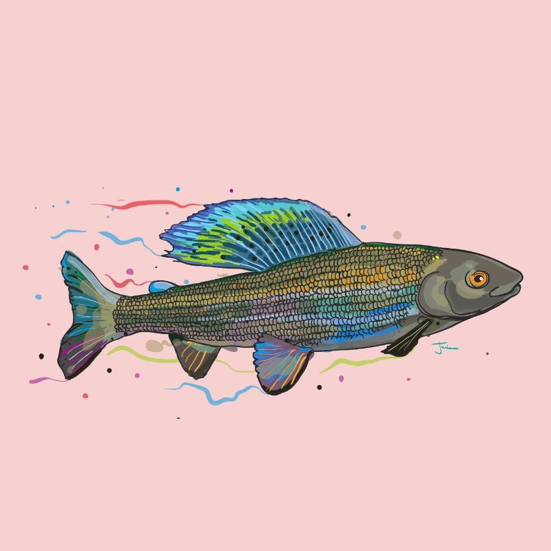 Chromatic iridescent fish - grayling