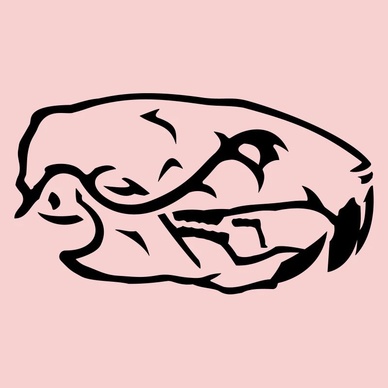 Rat Skull Skull