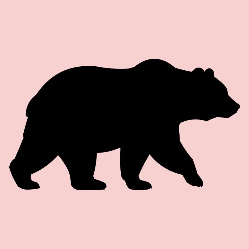 baer