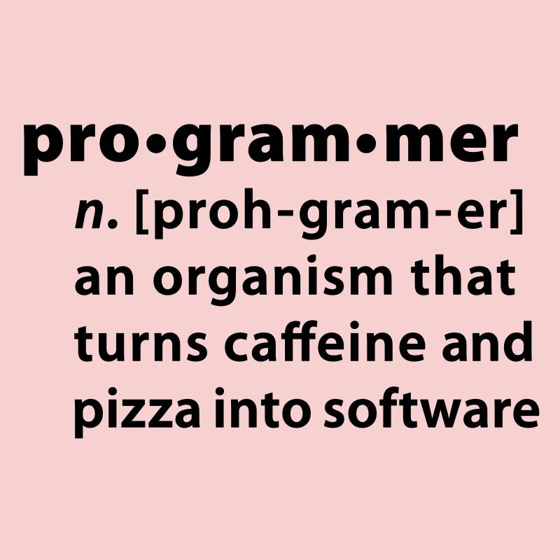 Programmer dictionary definition