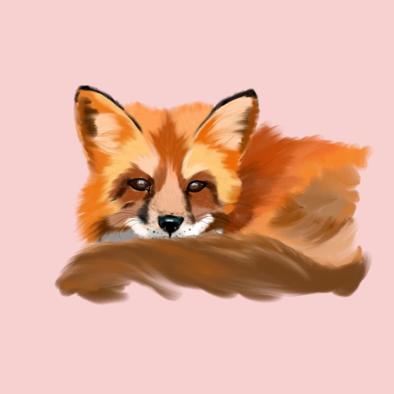 fox