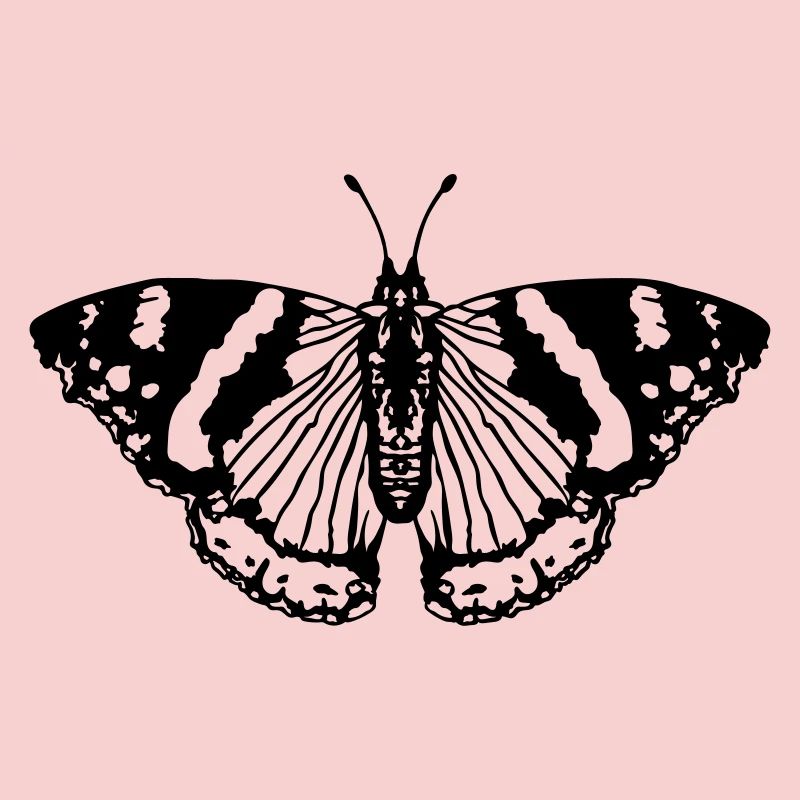 Papillon papillon