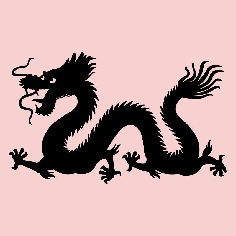 Image d’ombre de dragon année du dragon