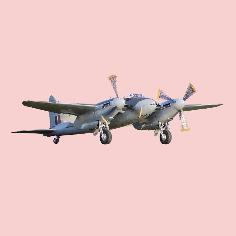 Mosquito
