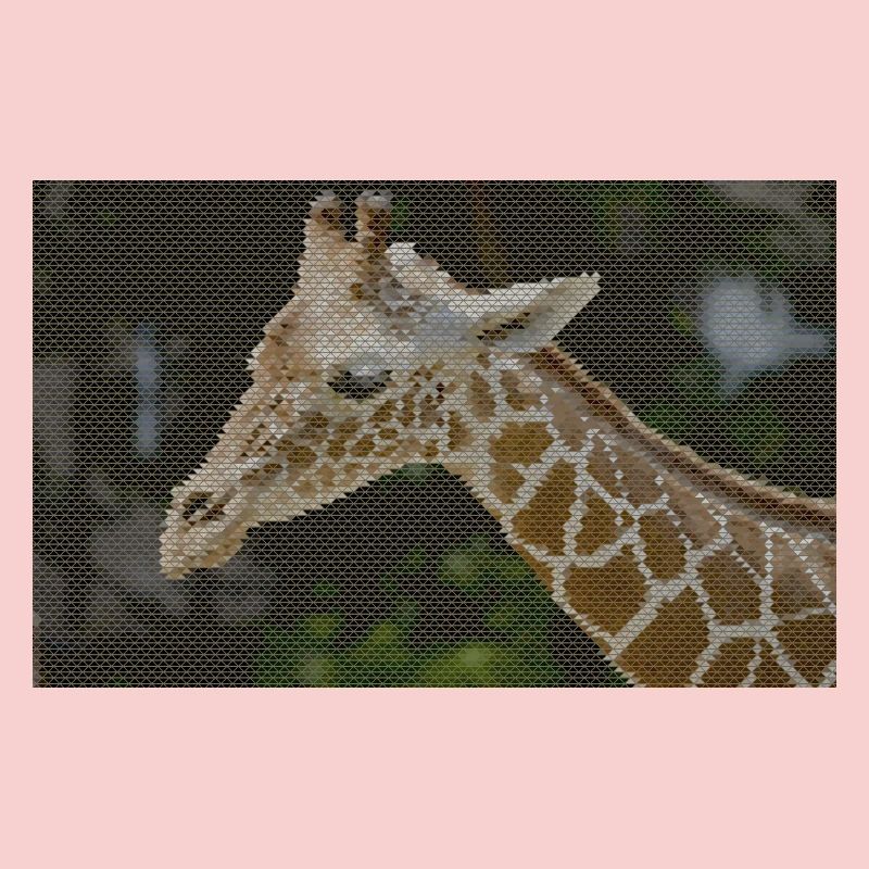Giraffe with triangle pattern
