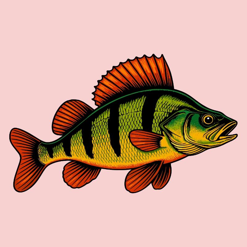 Perche Perche Perche Perche Perche Pêche Perche Perche