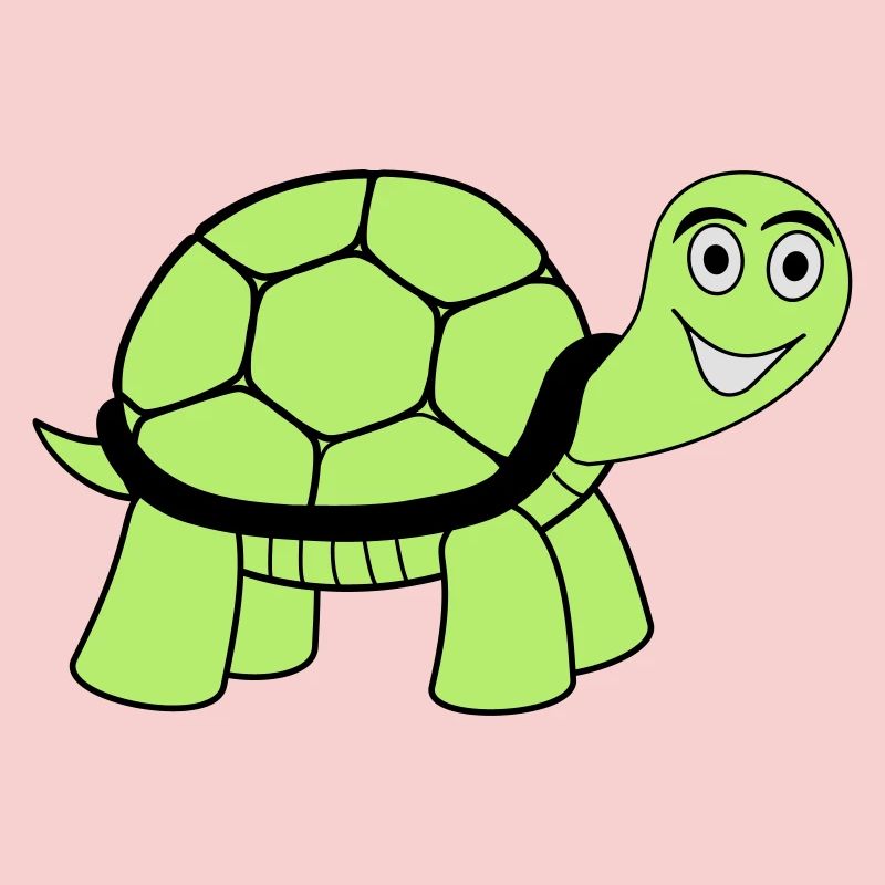 turtle
