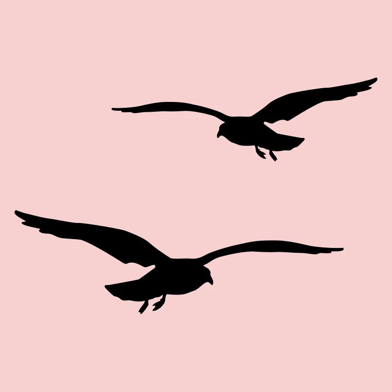 mouette