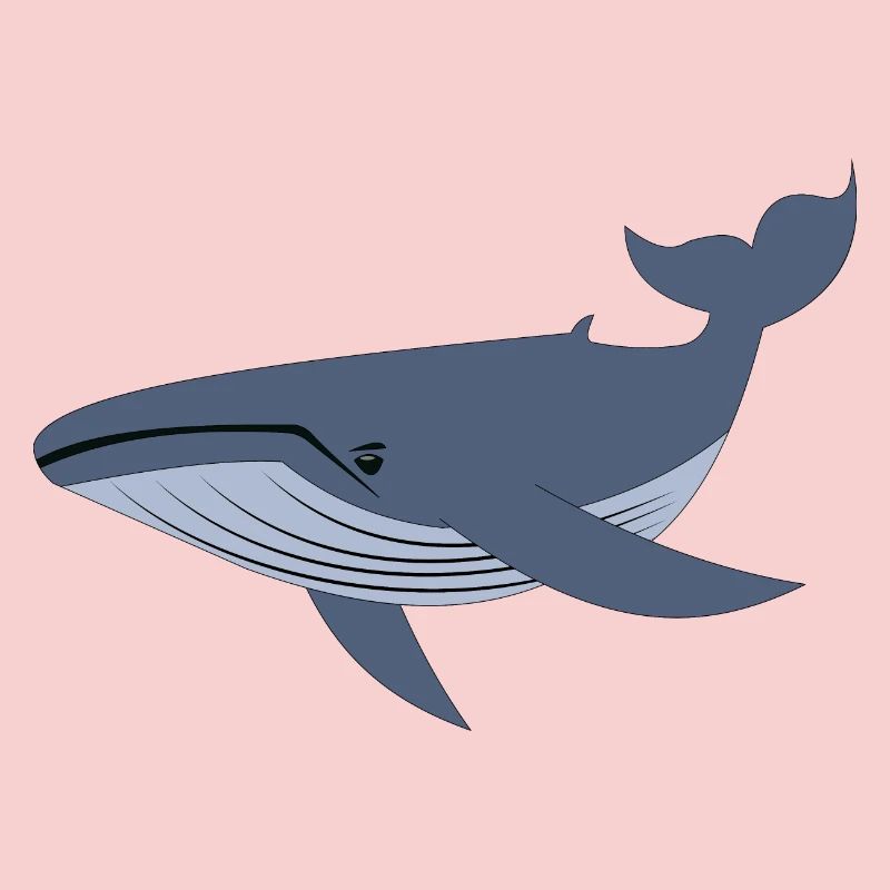 Baleine bleue, baleine