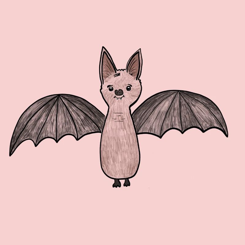 Bat Phantom Illustration