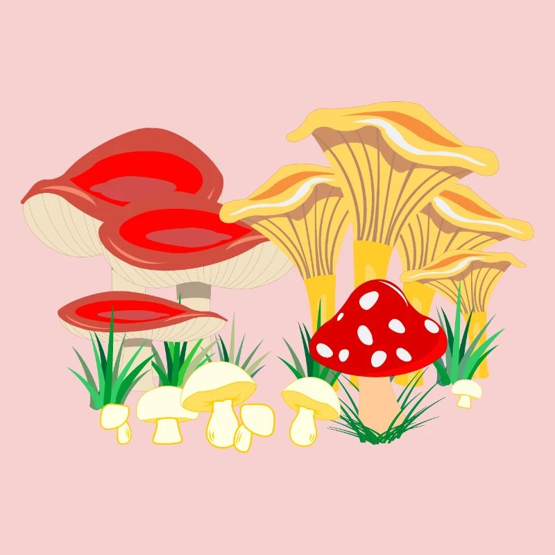 Composition colorée des champignons