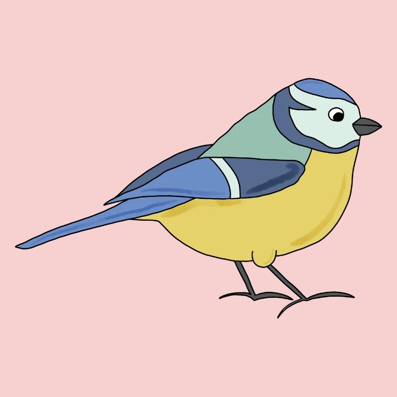 small blue, multicoloured