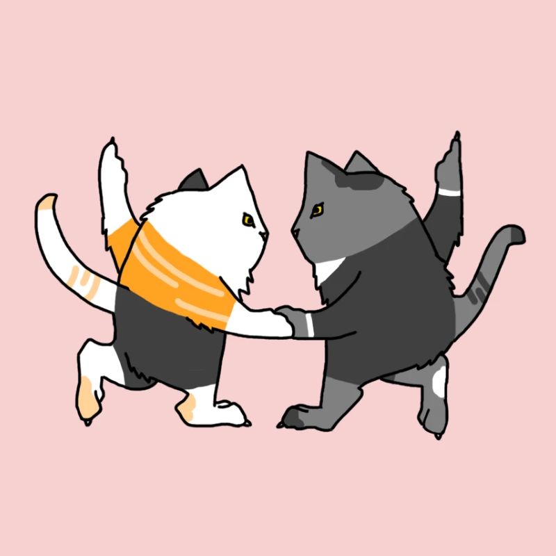 Chats dansants