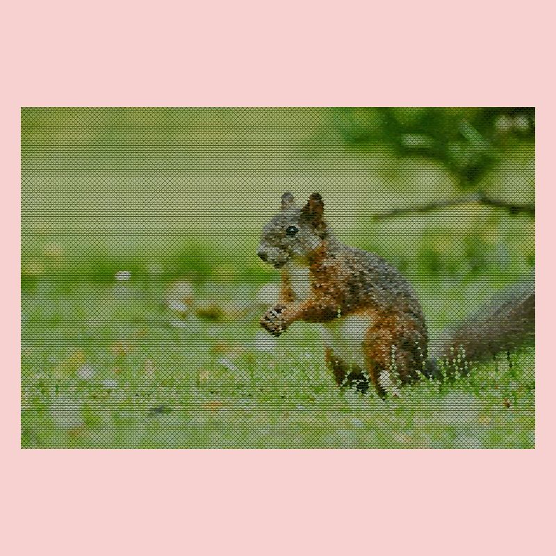 Squirrel Forest Pattern