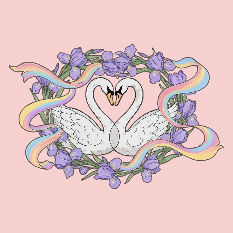 Swans love rainbow