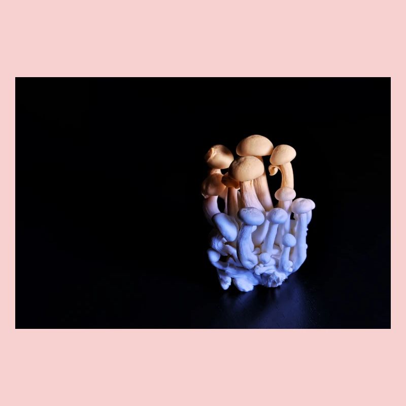 Luminous Mushroom Cluster Neon Glow