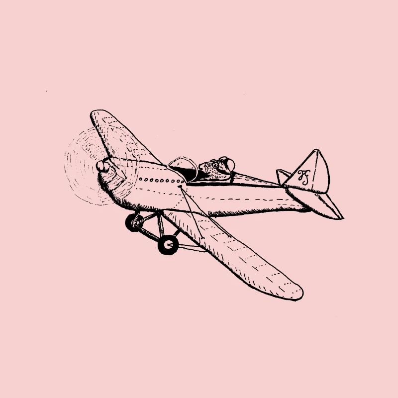 Whisker pilot