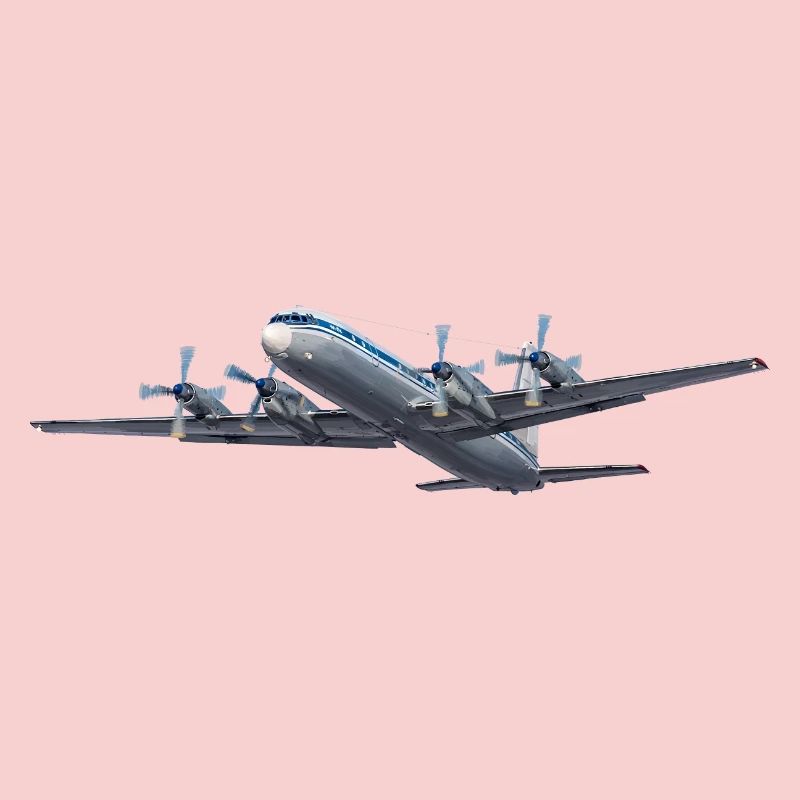 L’IL-18