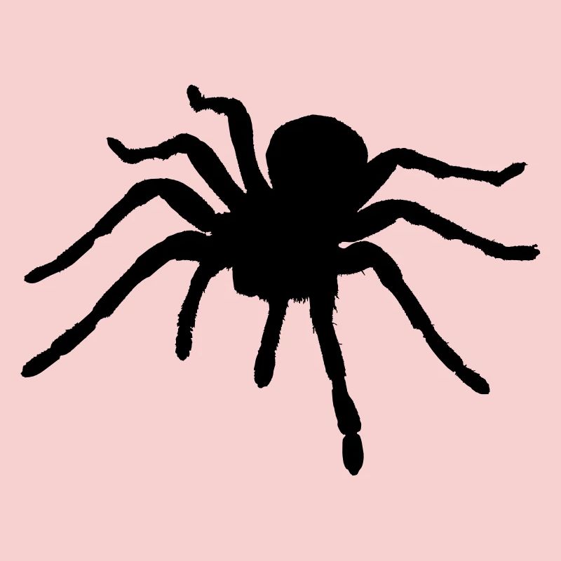 Spider - Araignée - Ragno - Araña