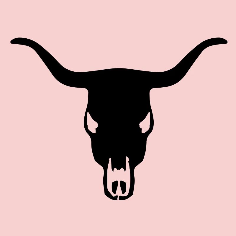 Bull's Skull