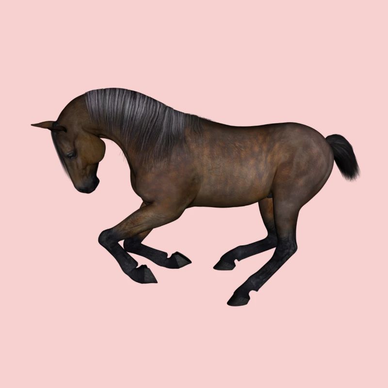 cheval