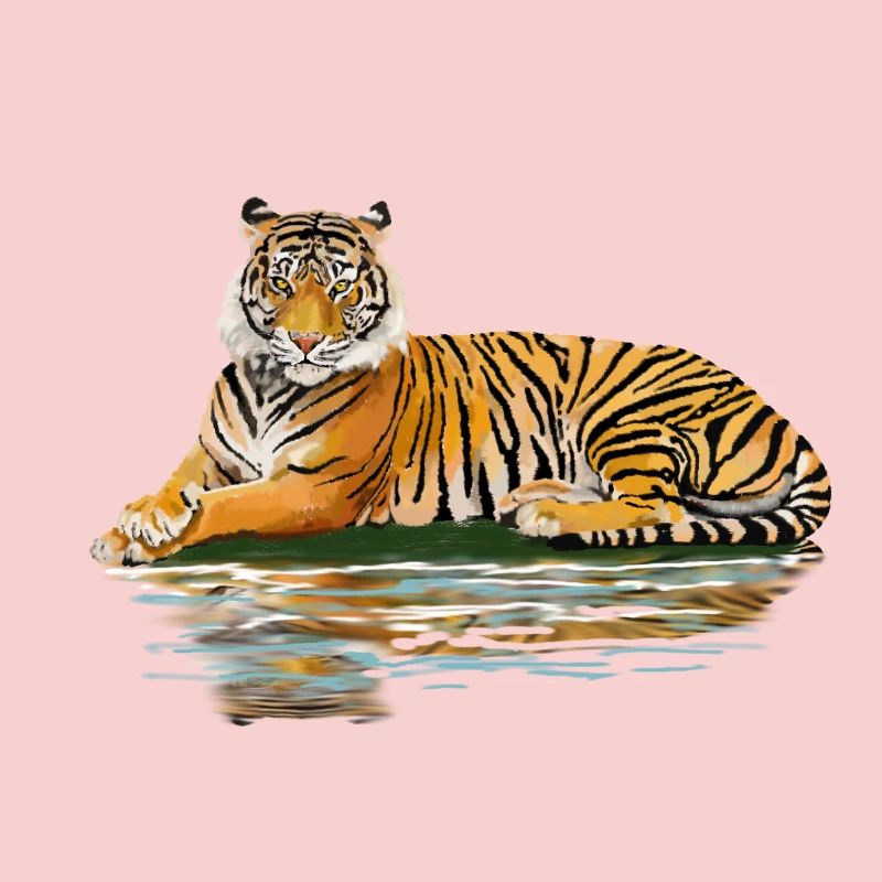 tiger