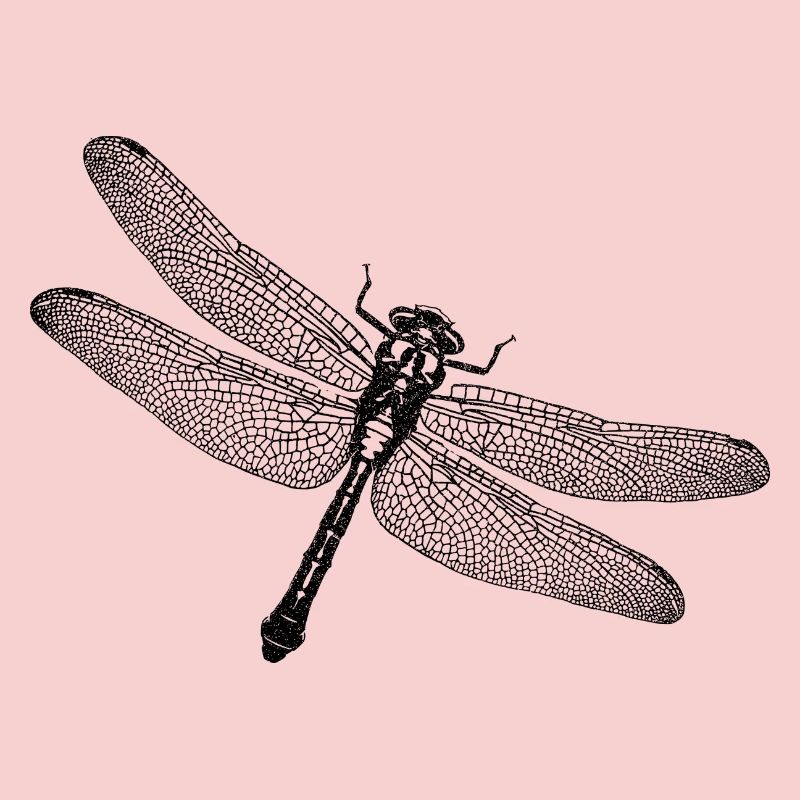 Libelle