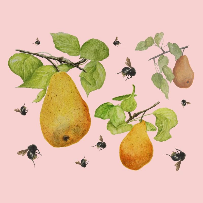Pears and bumblebees