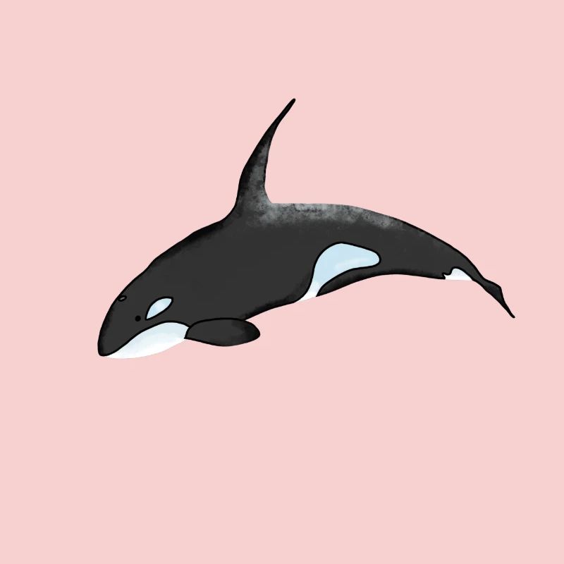 Orca Nachthimmel Cartoon-Print