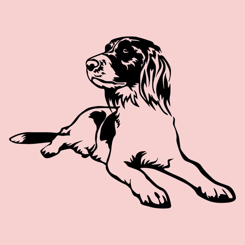 Münsterländer