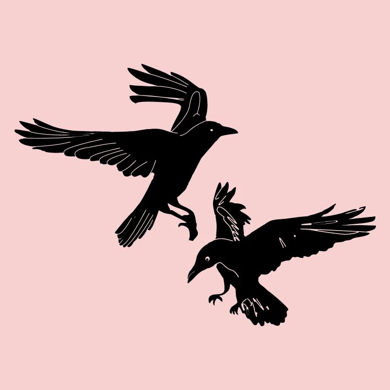 Deux radeaux Hugin et Munin