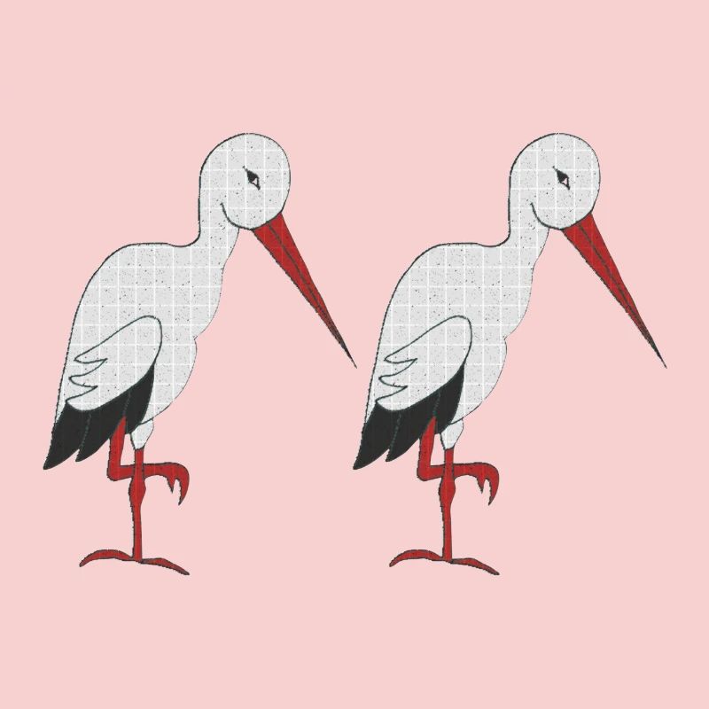 cigogne 2 fois