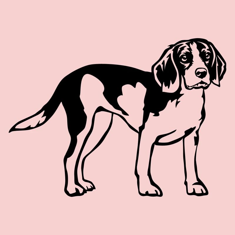 Beagle