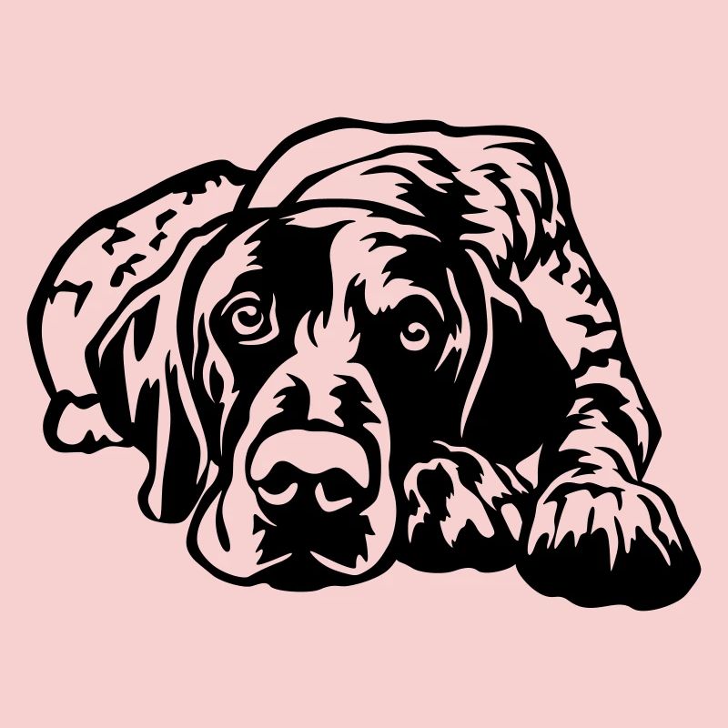 German Shorthaired Pointer