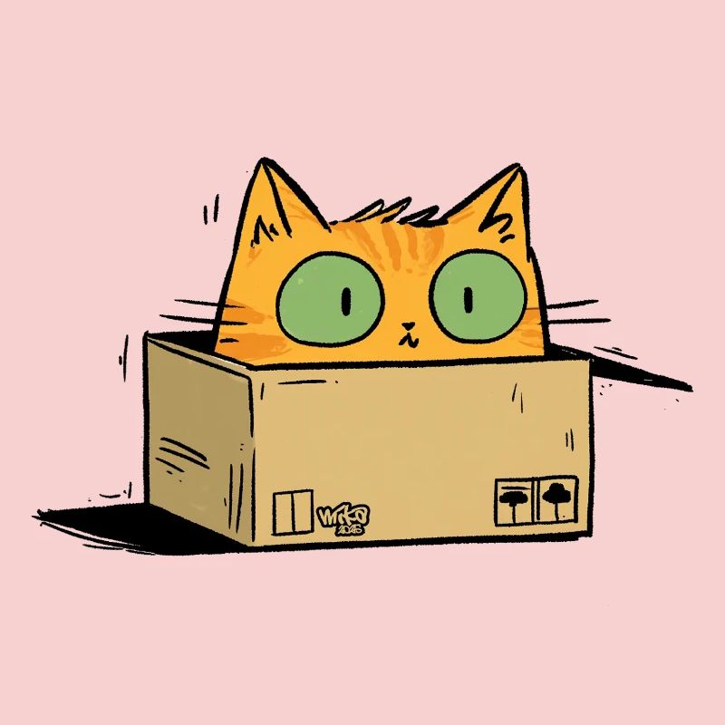 Mr Schroedinger