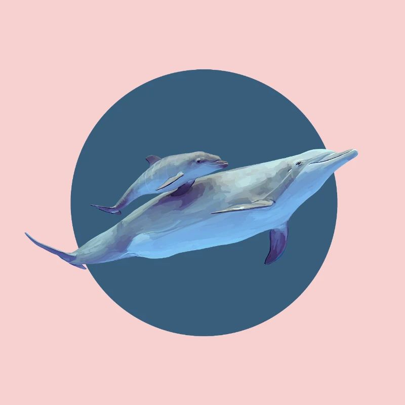Dolphin
