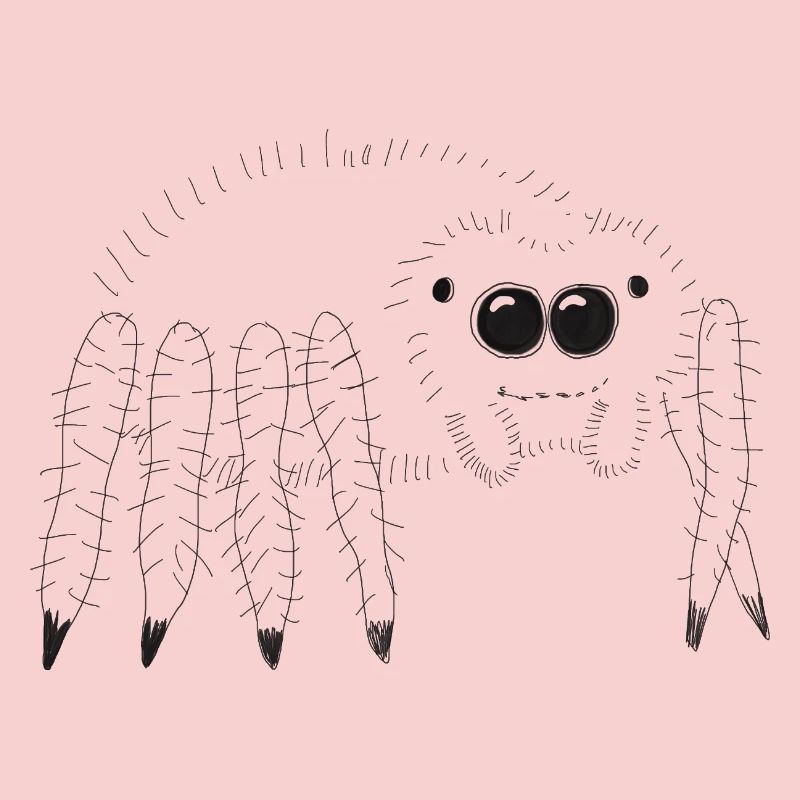 Cuddly spider illustration for the curious
