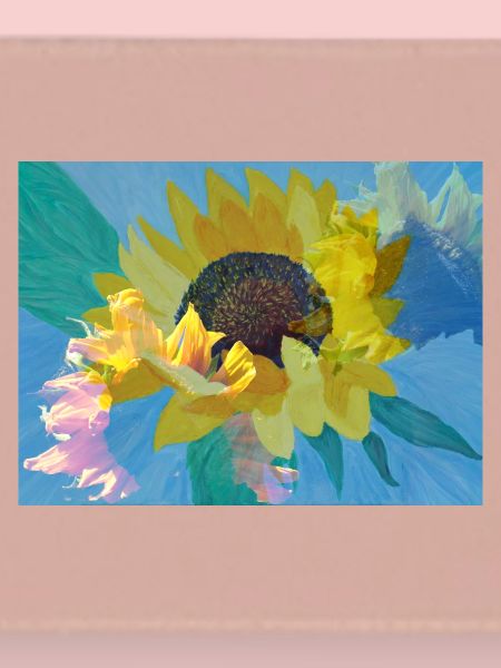 Multi-exposition tournesol