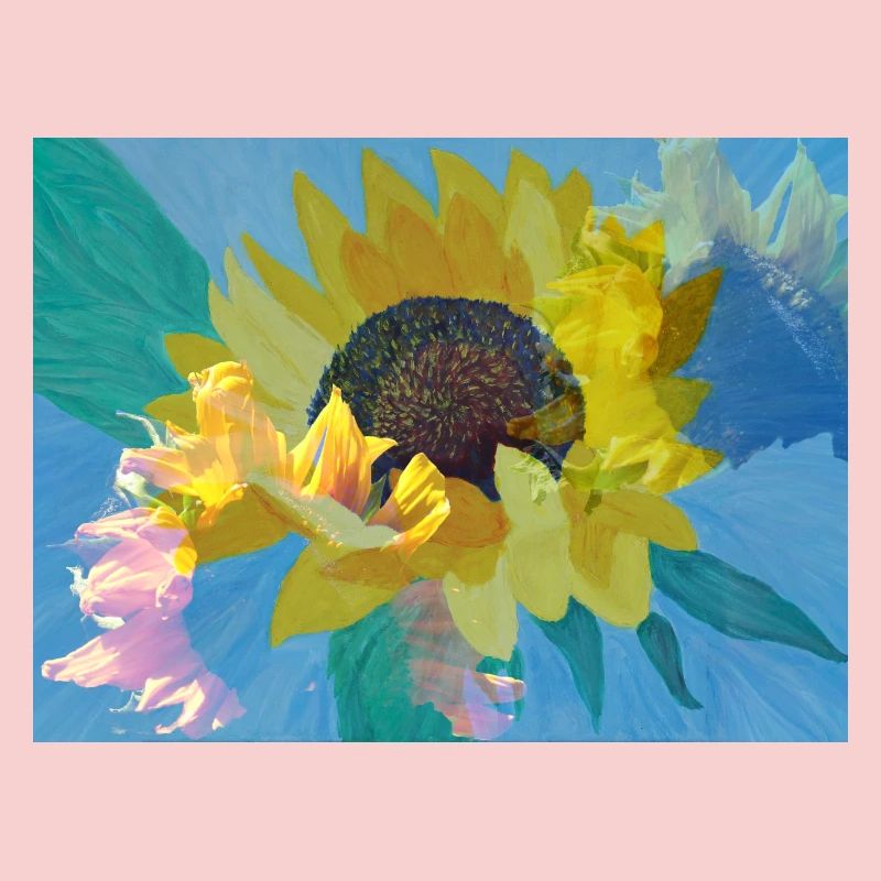 Multi-exposition tournesol