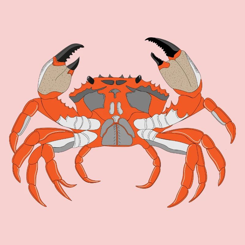 Empreinte de crabe