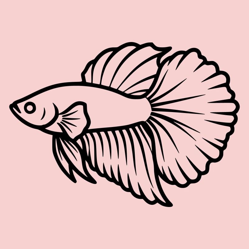 Kampffisch Betta Splendens Aquarium